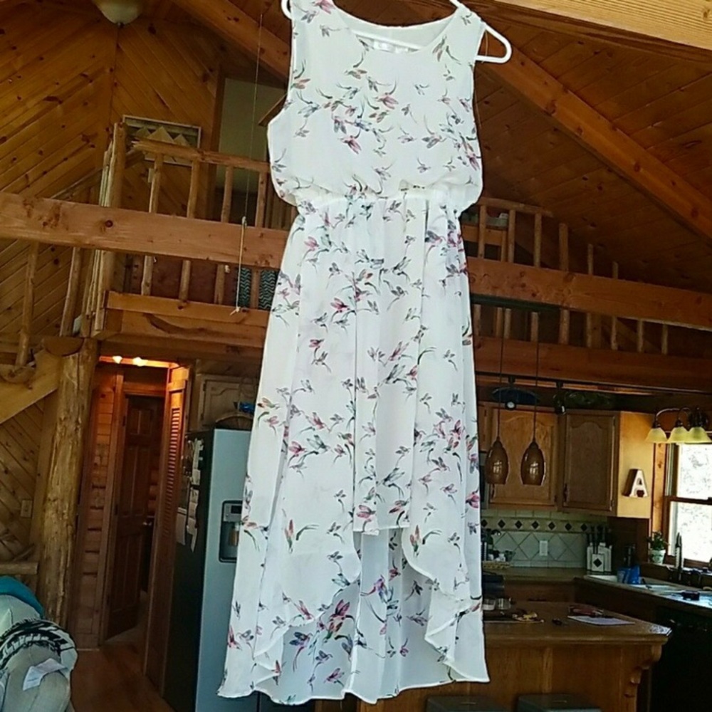 Hummingbird Print Dress Small 6 Petite High-Low Chiffon White Feminine Lined EUC